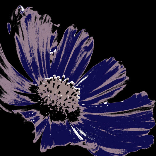 Xtra POP Set - Echinacea Flower - 990319v16 - Close Detail View, Deep violet pop art style flower with mauve detailing and a black background. Moody and elegant. Limited edition fine art print.
