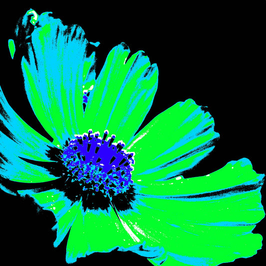 Xtra POP Set - Echinacea Flower - 990319v8 - Close Detail View, A neon pop art-style flower with bright green petals and a deep blue-purple centre on a black background. Vibrant graphic floral. Limited edition fine art print.