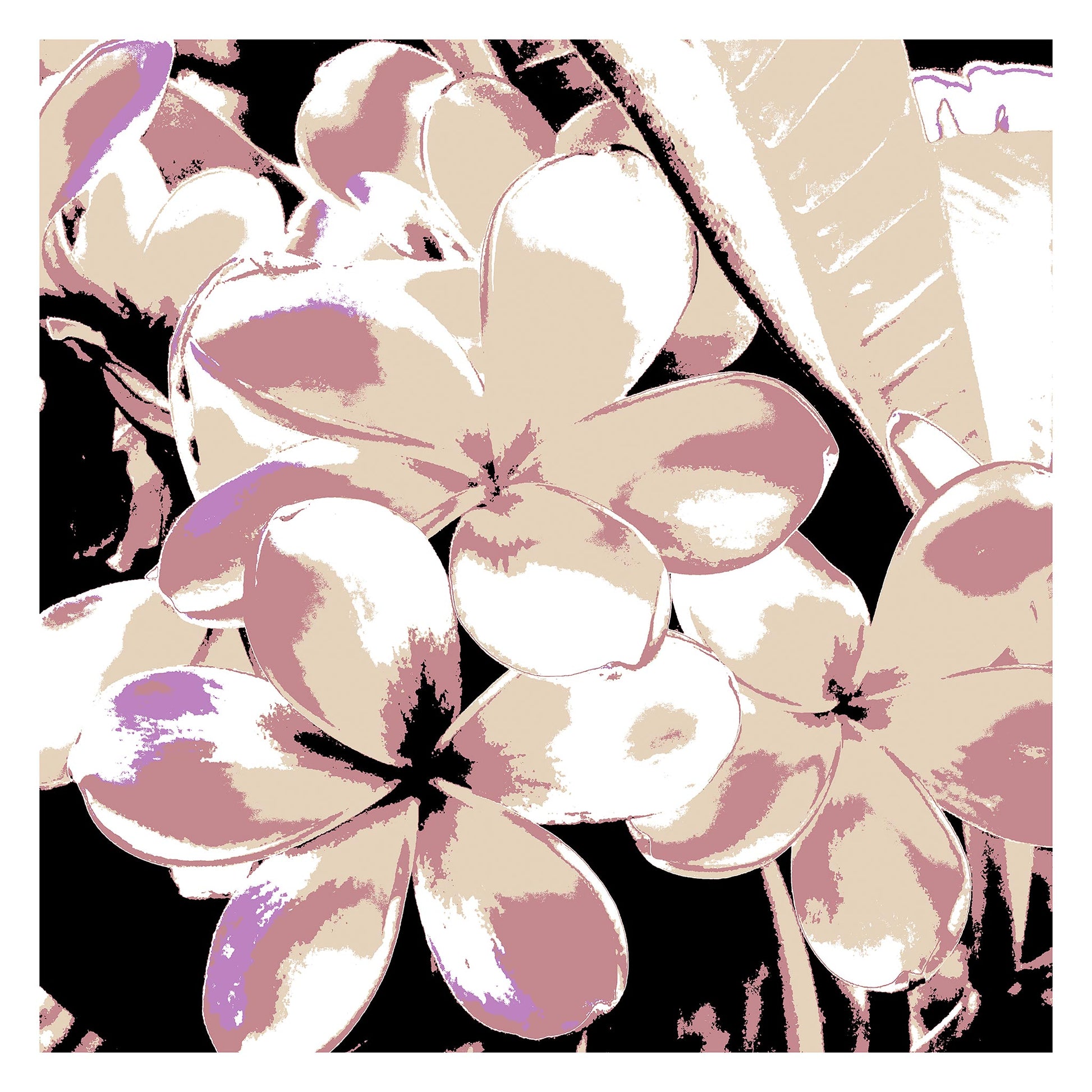 Xtra POP Set - Frangipani Cluster - 185892v27 - 104x104cm, Delicate stylised frangipani cluster in soft blush, ivory, and lilac tones, evoking vintage botanical charm with a refined Pop Art aesthetic.