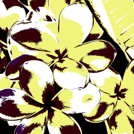 Xtra POP Set - Frangipani Cluster - 185892v28 - Close Detail View, Frangipani petals in lemon yellow and burgundy with high-contrast shadows, giving a retro Pop Art flair to a tropical floral scene.