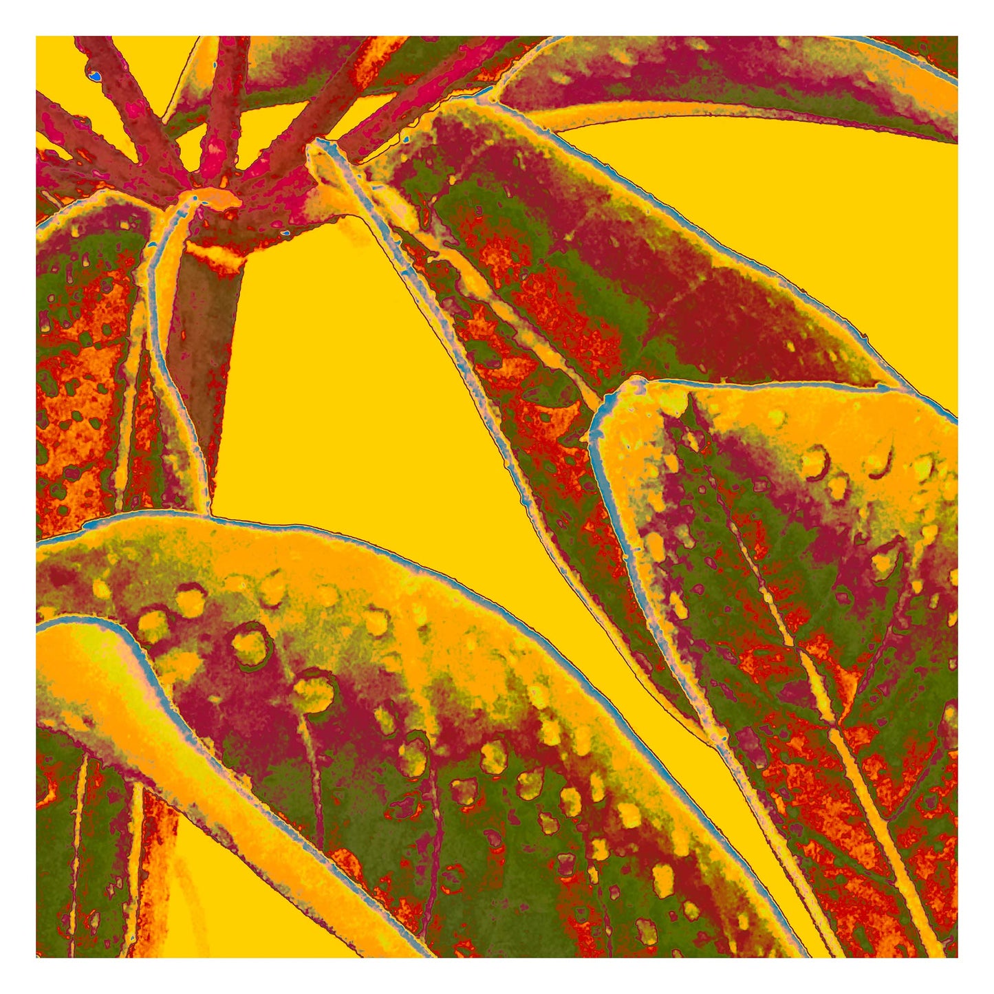 Xtra POP Set - Frangipani Leaves - 90x90cm Square (#184836v12a)