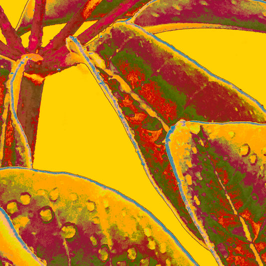 Xtra POP Set - Frangipani Leaves - 90x90cm Square (#184836v12a)