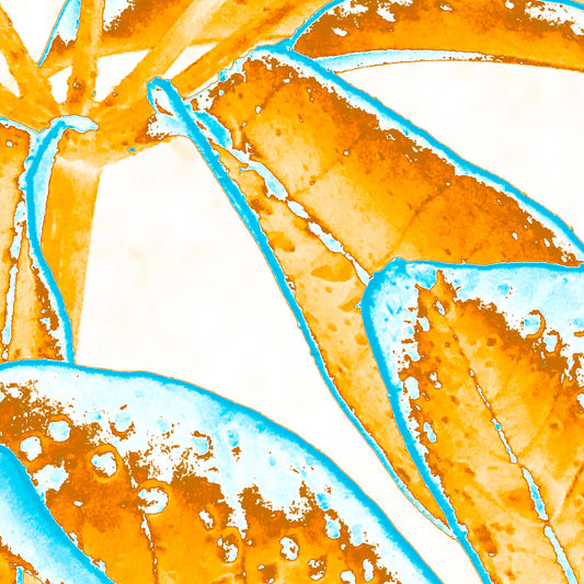 Xtra POP Set - Frangipani Leaves - 184836v6a - Close Detail View, Vibrant orange frangipani leaves edged with bright turquoise, overlaid with water droplet textures on a pale background in a graphic Pop Art style.