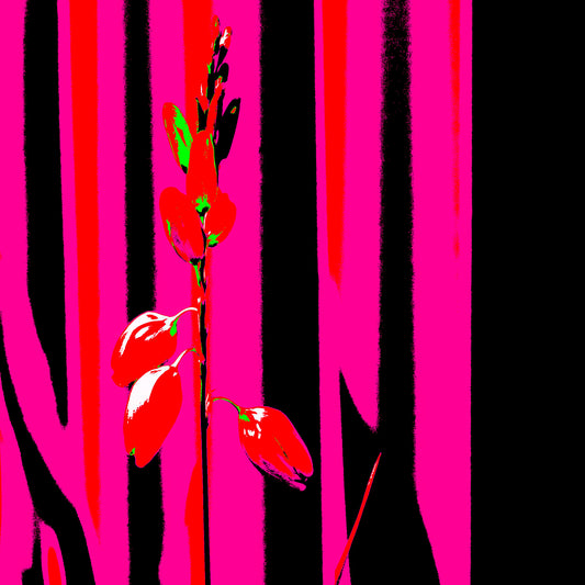 Xtra POP Set - Garden Flower - 188657E5v11 - Close Detail View, Striking red flower set against high-contrast pink and black vertical background in an edgy Pop Art style.