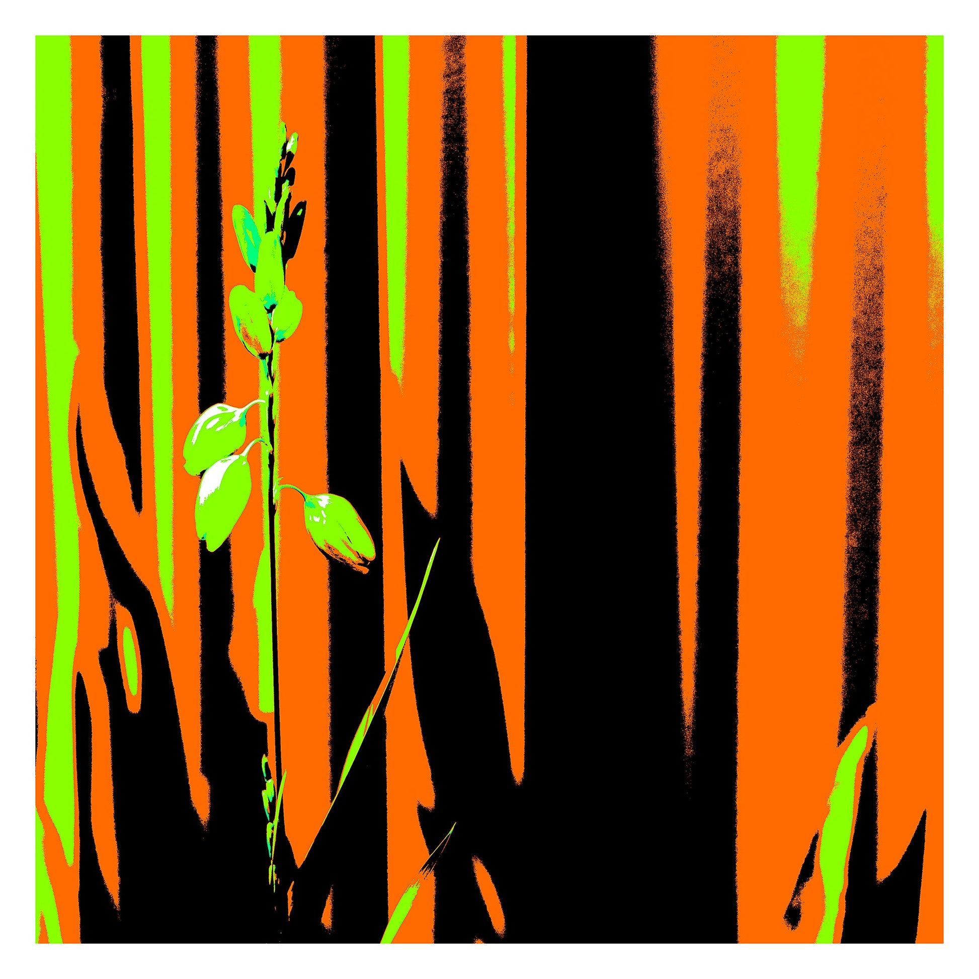 Xtra POP Set - Garden Flower - 188657E5v13 - 104x104cm, Lime green flower set against an intense orange and black striped background in bold Pop Art styling.