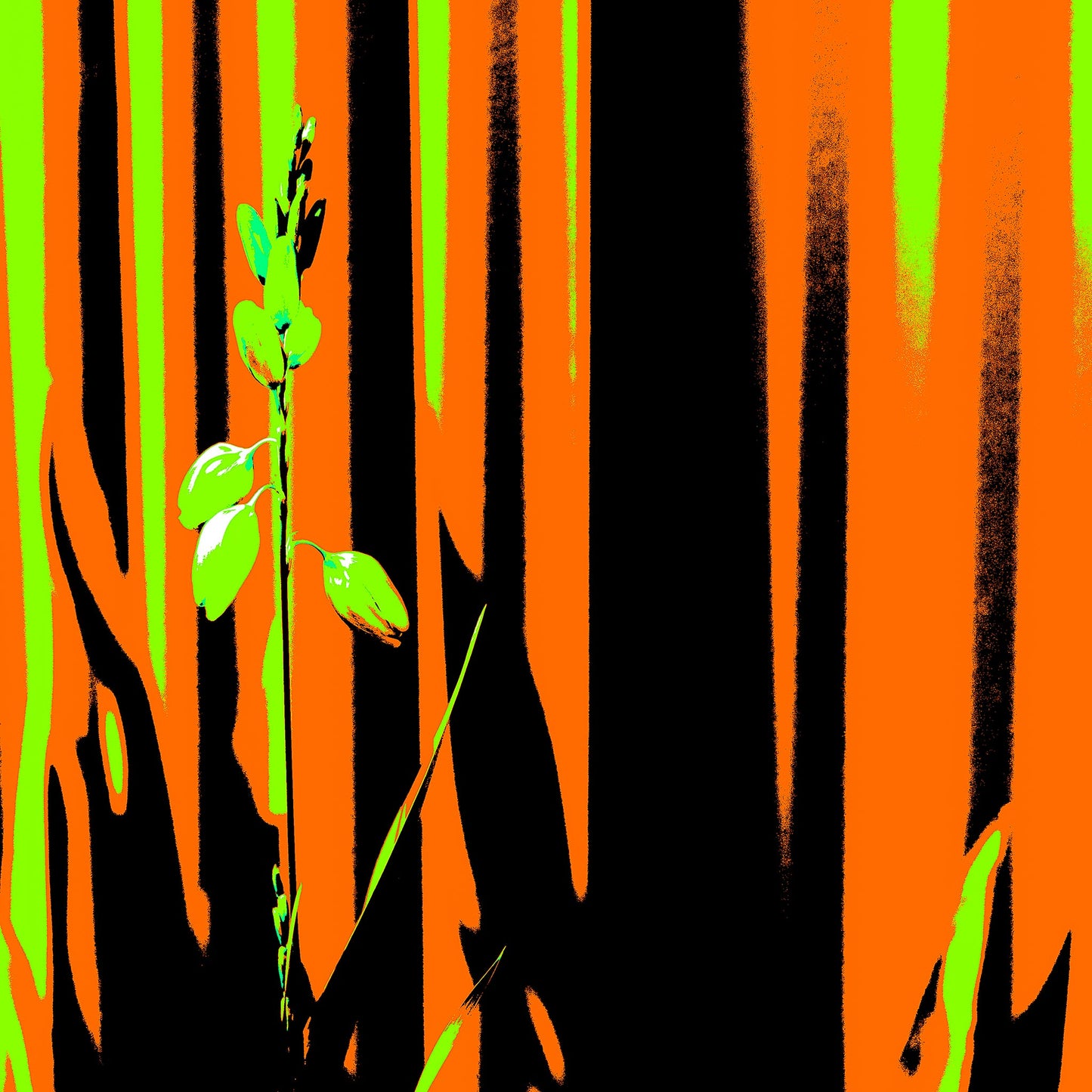 Xtra POP Set - Garden Flower - 188657E5v13 - 90x90cm, Lime green flower set against an intense orange and black striped background in bold Pop Art styling.