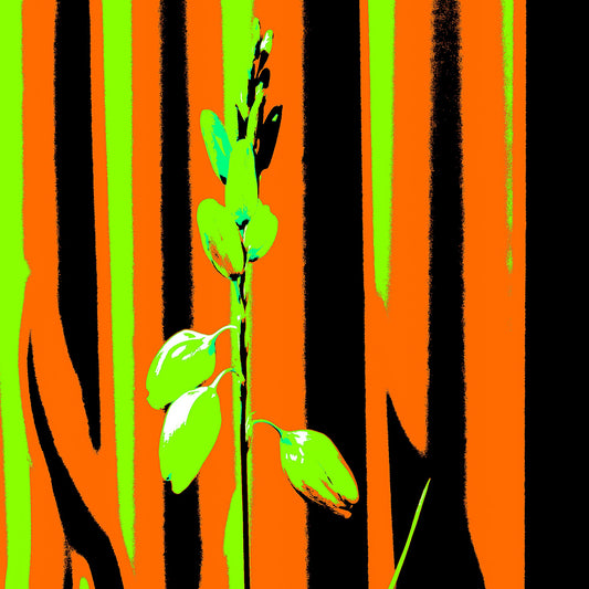 Xtra POP Set - Garden Flower - 188657E5v13 - Close Detail View, Lime green flower set against an intense orange and black striped background in bold Pop Art styling.