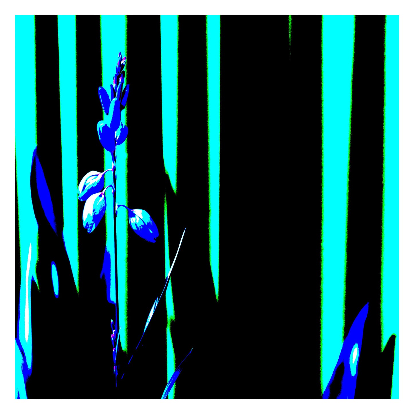 Xtra POP Set - Garden Flower - 188657E5v15 - 104x104cm, Electric blue flower silhouette against vertical turquoise and black striped background in stylised Pop Art form.
