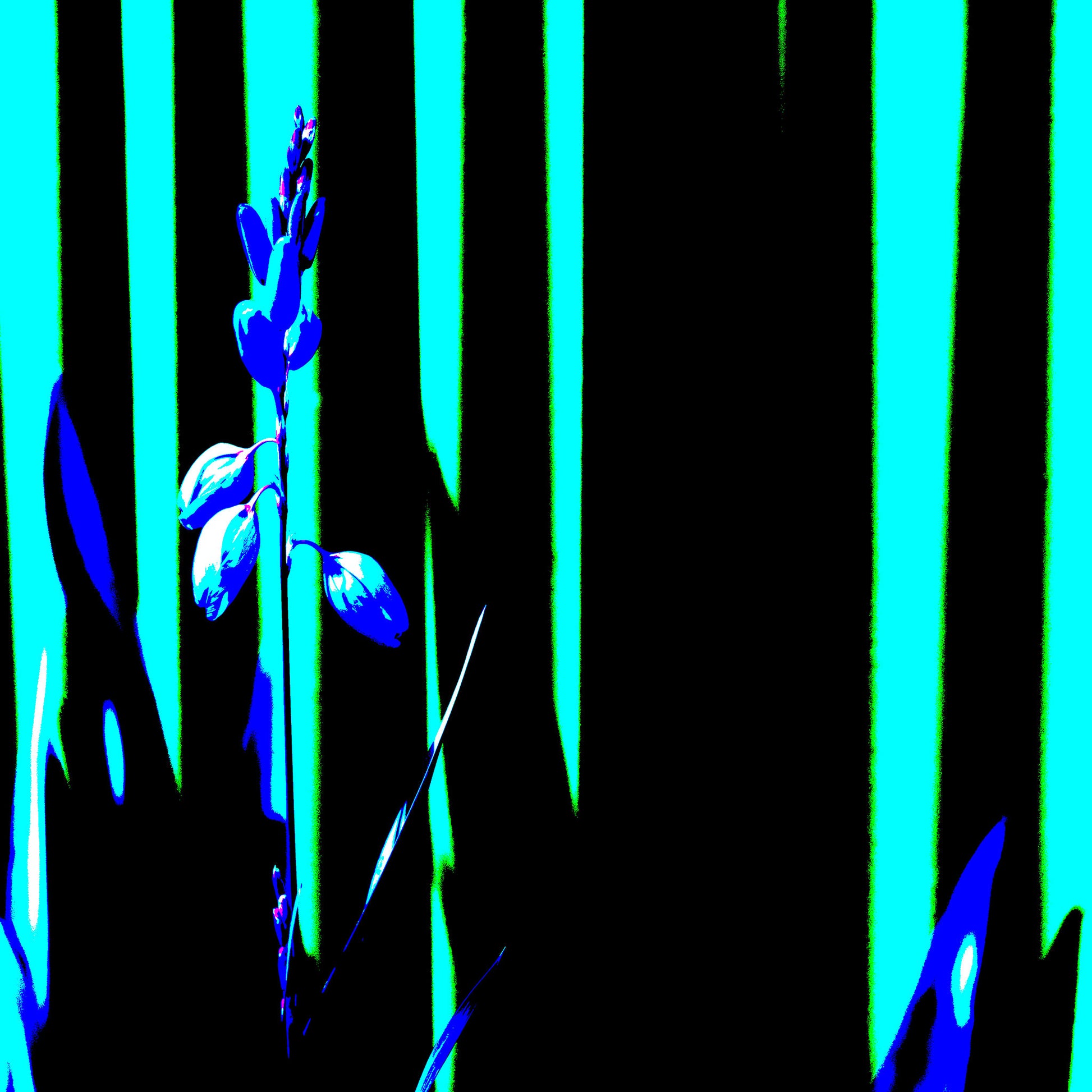 Xtra POP Set - Garden Flower - 188657E5v15 - 90x90cm, Electric blue flower silhouette against vertical turquoise and black striped background in stylised Pop Art form.
