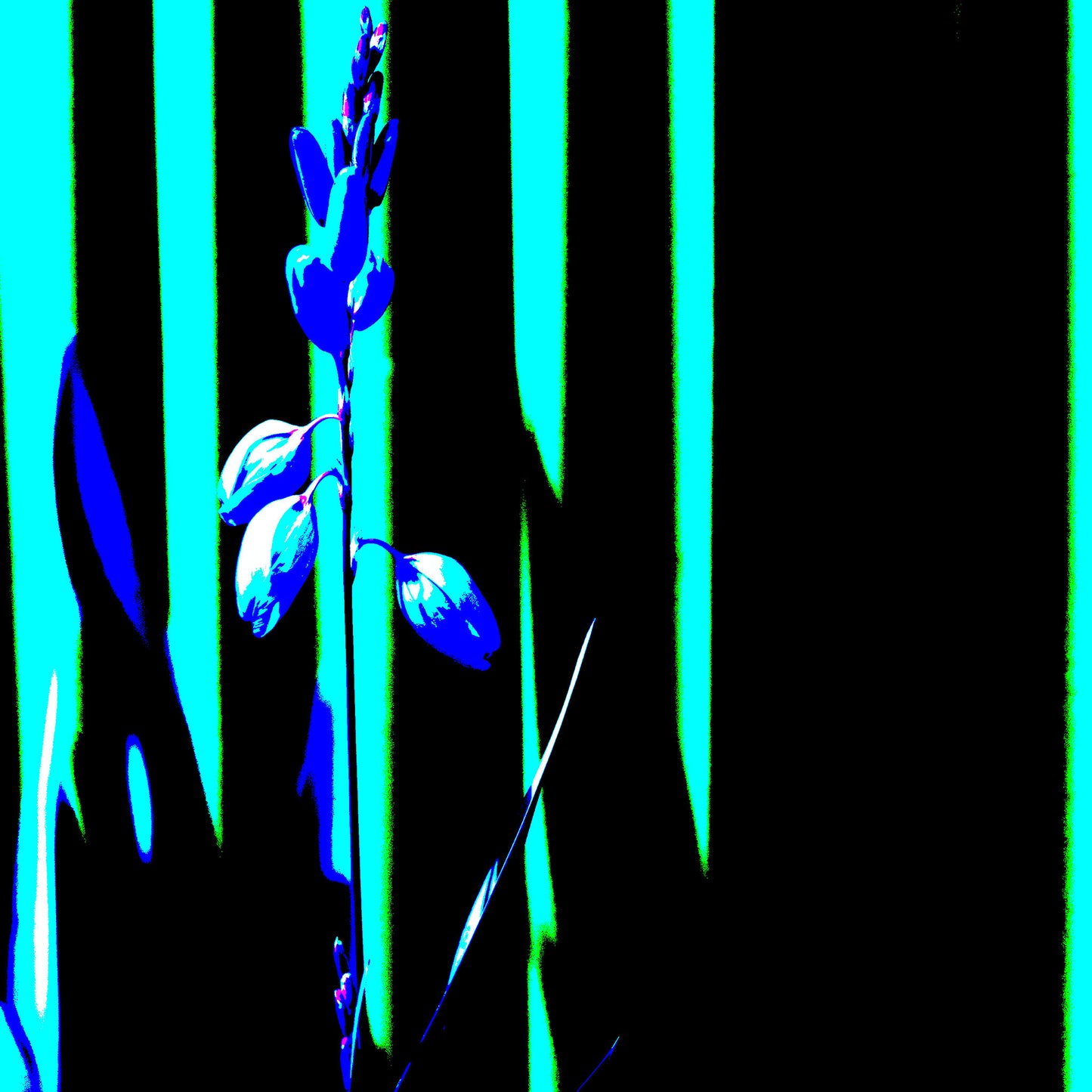 Xtra POP Set - Garden Flower - 188657E5v15 - Close Detail View, Electric blue flower silhouette against vertical turquoise and black striped background in stylised Pop Art form.