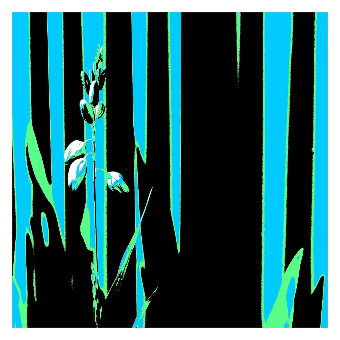 Xtra POP Set - Garden Flower - 188657E5v42 - 104x104cm, Pale botanical silhouette in front of turquoise, green, and black vertical bands with bold Pop Art contrast.