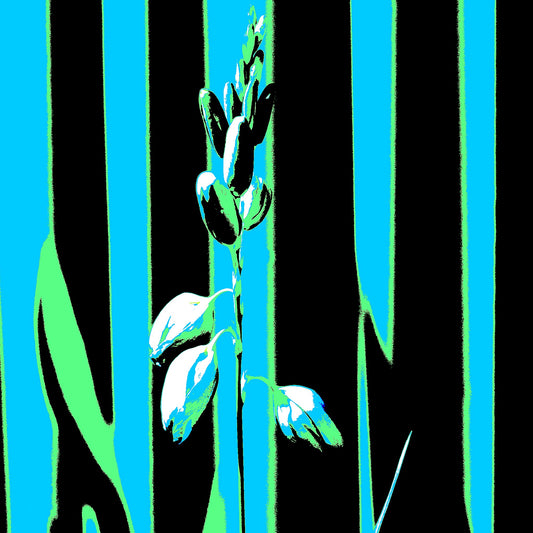 Xtra POP Set - Garden Flower - 188657E5v42 - Close Detail View, Pale botanical silhouette in front of turquoise, green, and black vertical bands with bold Pop Art contrast.