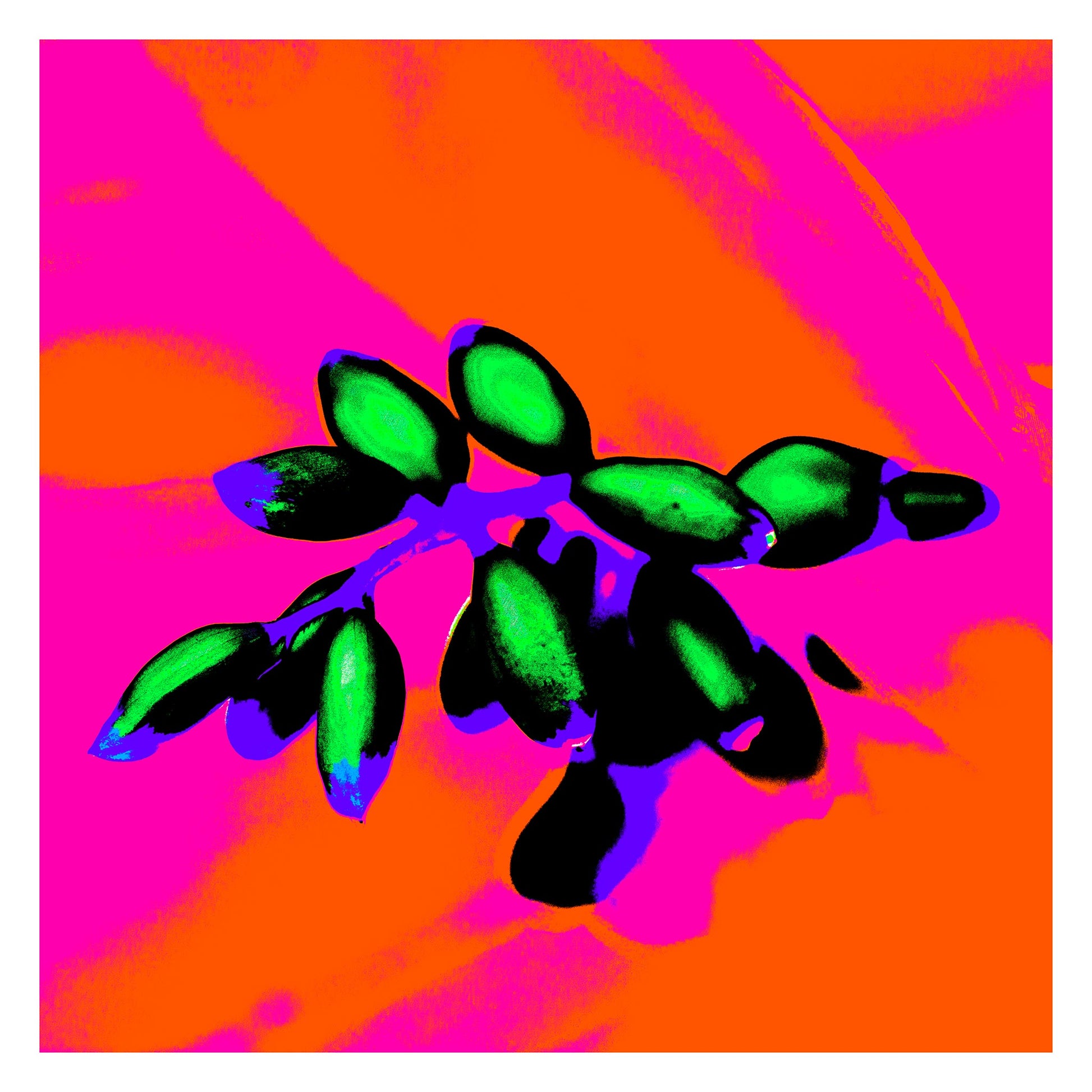 Xtra POP Set - Ginger Flower Buds - 181855v3 - 104x104cm, Vivid green buds contrast against a neon orange and magenta background with bold purple and blue accents in a Pop Art style.