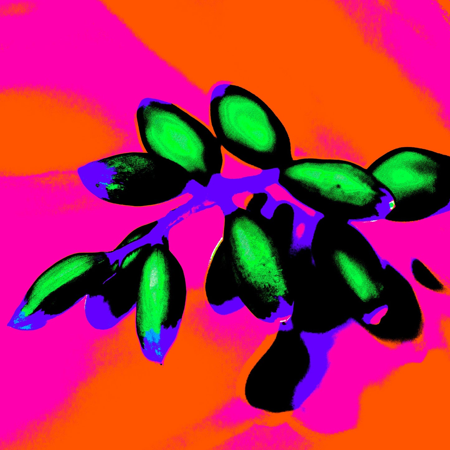 Xtra POP Set - Ginger Flower Buds - 181855v3 - Close Detail View, Vivid green buds contrast against a neon orange and magenta background with bold purple and blue accents in a Pop Art style.