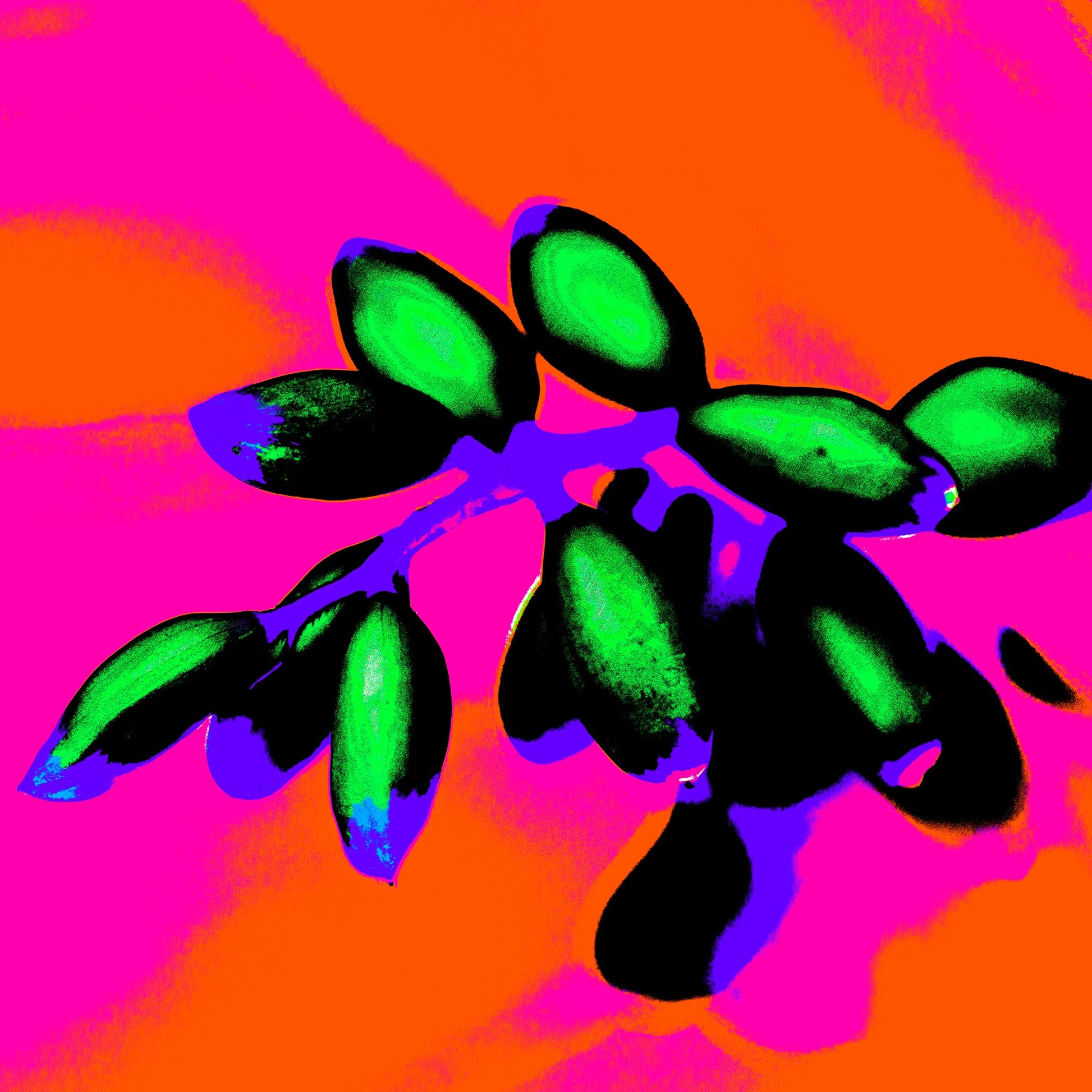 Xtra POP Set - Ginger Flower Buds - 181855v3 - Close Detail View, Vivid green buds contrast against a neon orange and magenta background with bold purple and blue accents in a Pop Art style.