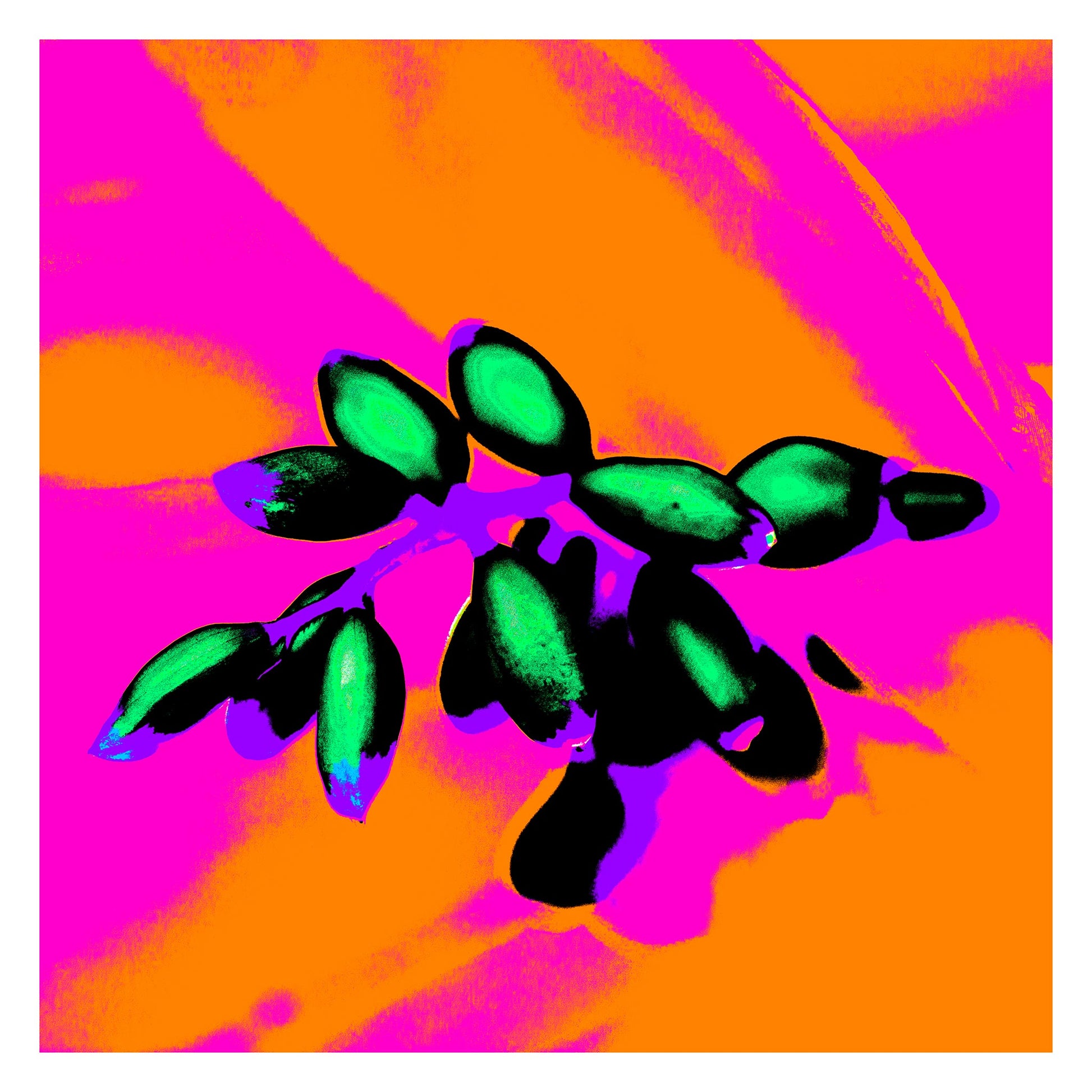 Xtra POP Set - Ginger Flower Buds - 181855v4 - 104x104cm, Intense green buds set against a glowing orange and magenta background with black shadows and vivid blue-violet accents.