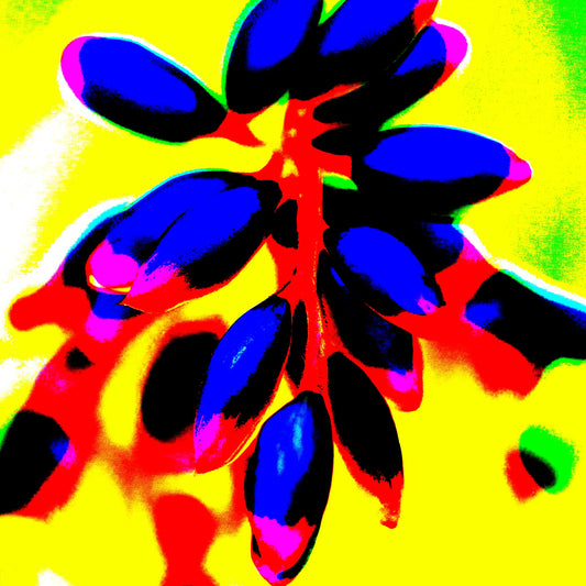 Xtra POP Set - Ginger Flower Buds - 181863v11 - Close Detail View, Intense violet buds on a bright red stem set against a luminous yellow and lime green background, with high-contrast Pop Art styling.
