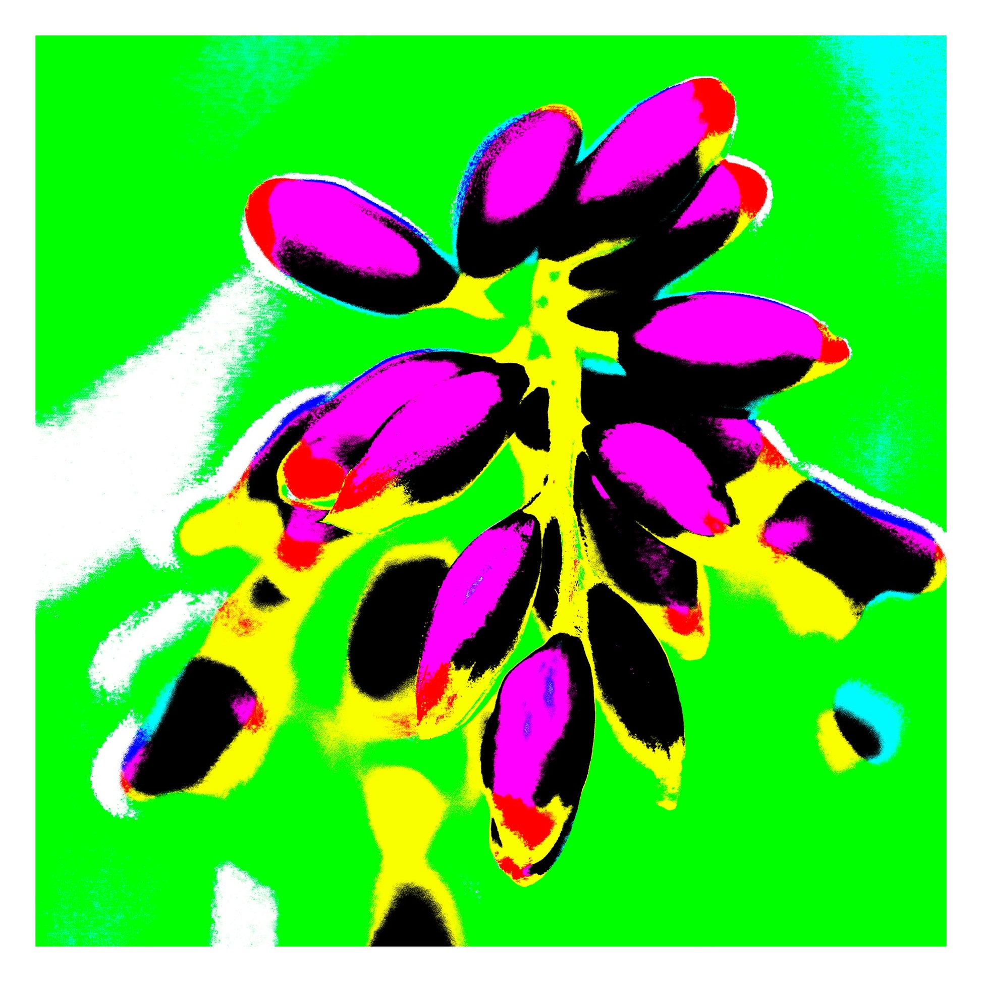 Xtra POP Set - Ginger Flower Buds - 181863v14 - 104x104cm, Magenta flower buds with golden stems on an electric green background, rendered in bold Pop Art style.