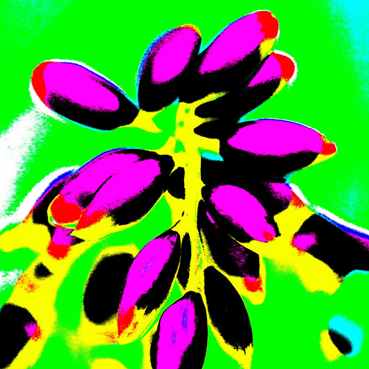 Xtra POP Set - Ginger Flower Buds - 181863v14 - Close Detail View, Magenta flower buds with golden stems on an electric green background, rendered in bold Pop Art style.