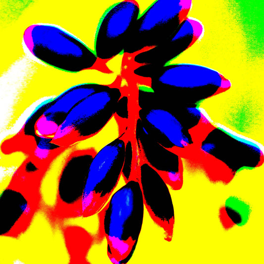 Xtra POP Set - Ginger Flower Buds - 181863v3 - Close Detail View, Blue flower buds with red stems on a bright yellow background, featuring vivid pink highlights and strong graphic contrasts.