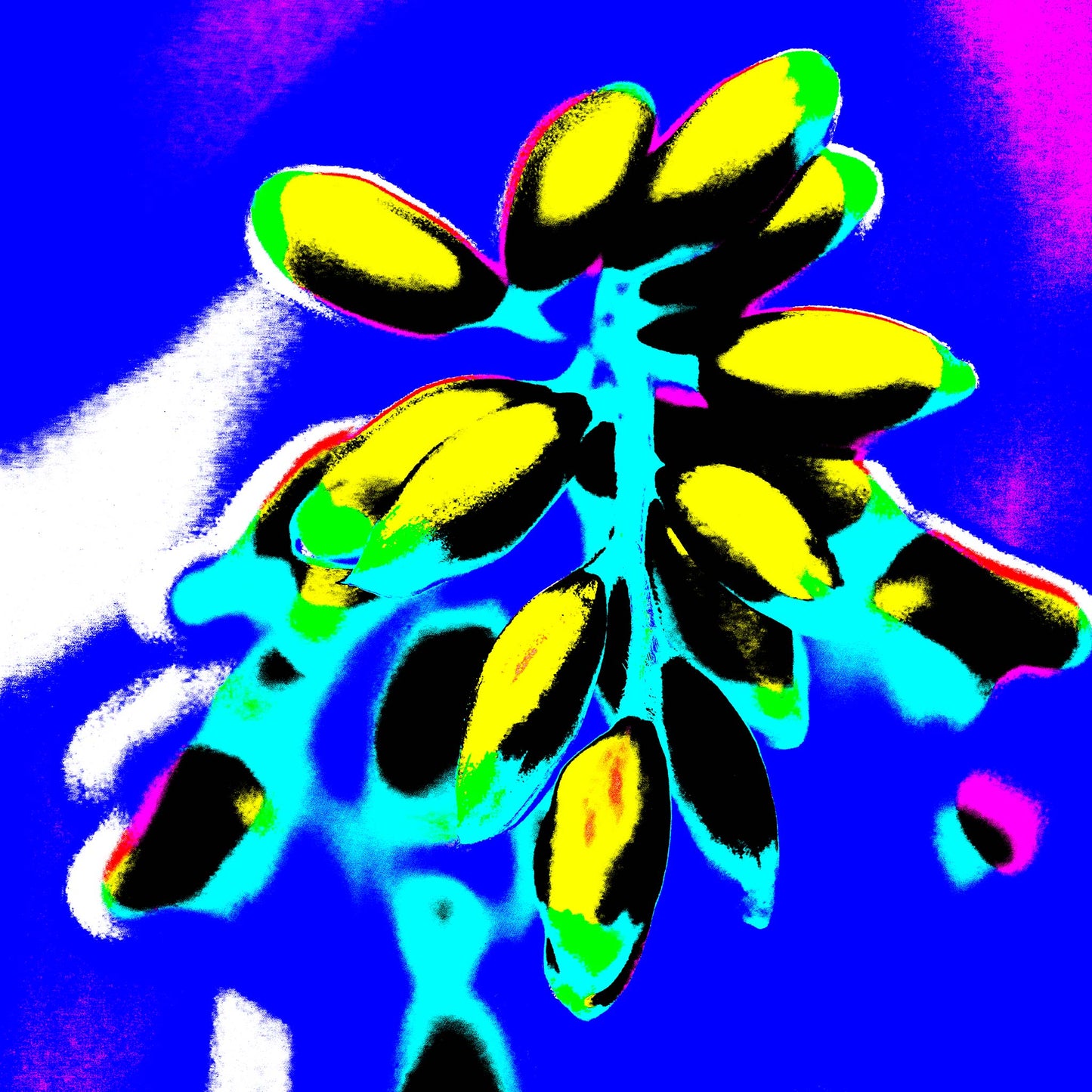 Xtra POP Set - Ginger Flower Buds - 181863v4 - 90x90cm, Bright yellow buds with black shading against a vivid blue and cyan background, featuring neon green and pink accents.
