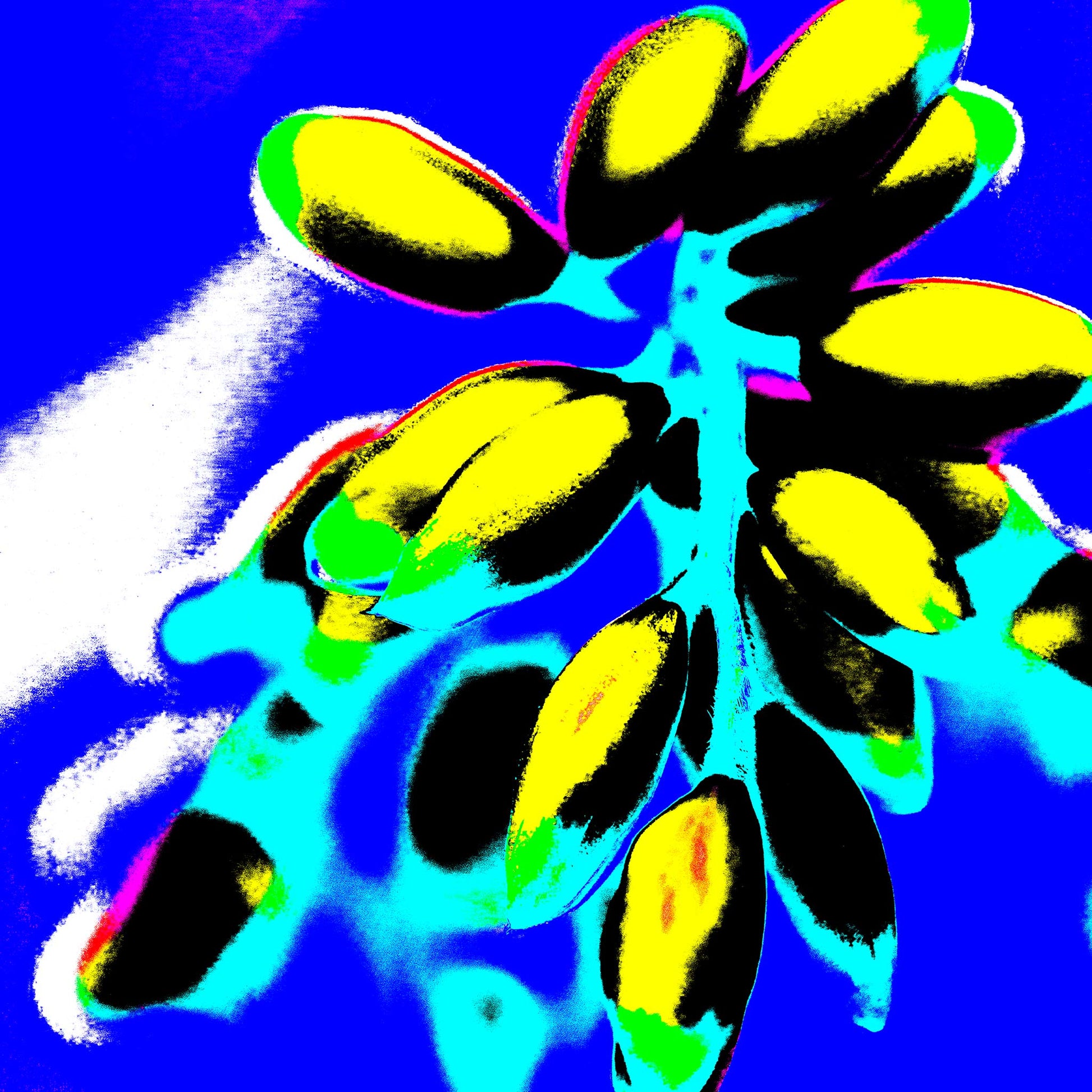 Xtra POP Set - Ginger Flower Buds - 181863v4 - Close Detail View, Bright yellow buds with black shading against a vivid blue and cyan background, featuring neon green and pink accents.