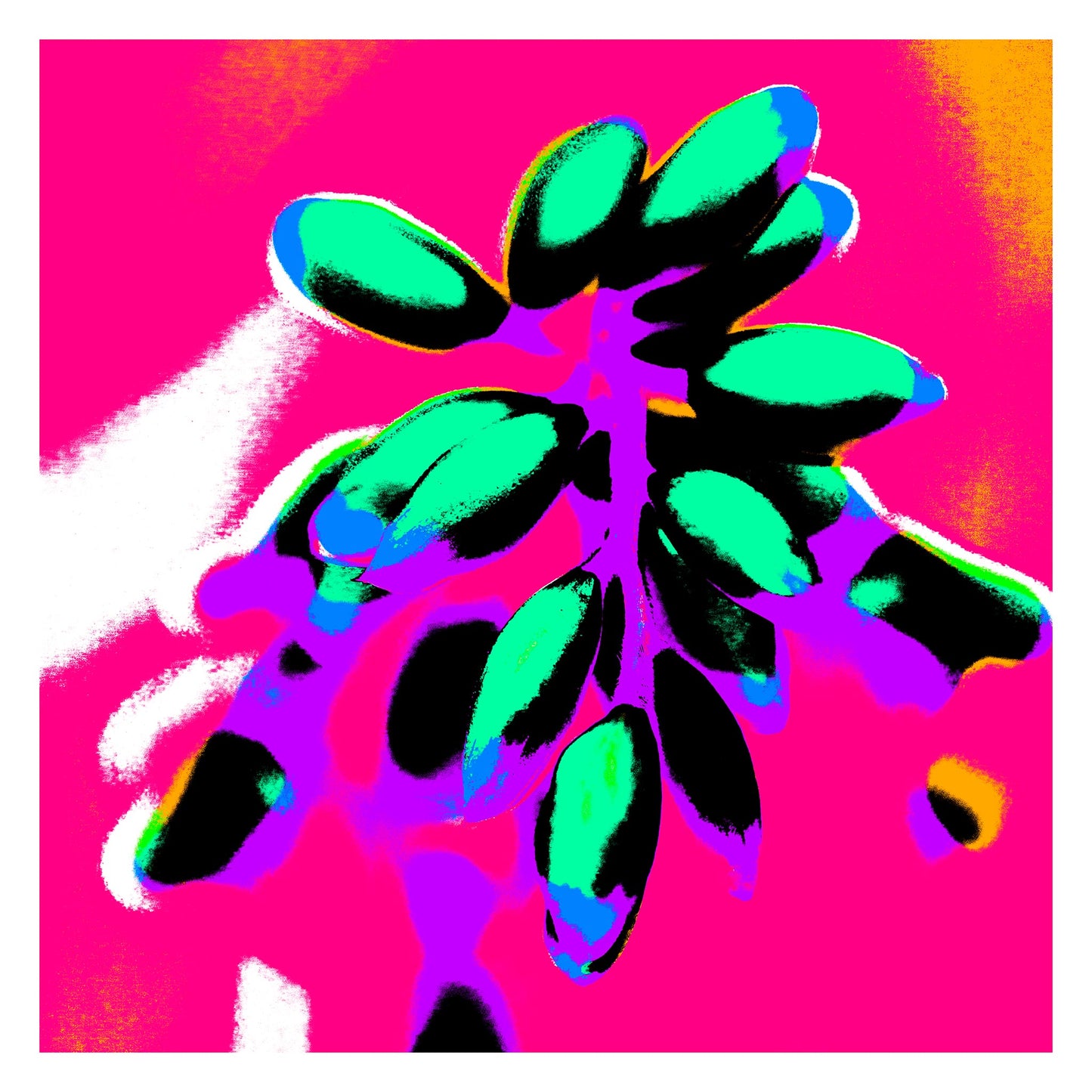 Xtra POP Set - Ginger Flower Buds - 181863v6 - 104x104cm, Teal and aqua buds outlined in black, set against a vivid hot pink and magenta background with purple and orange highlights.