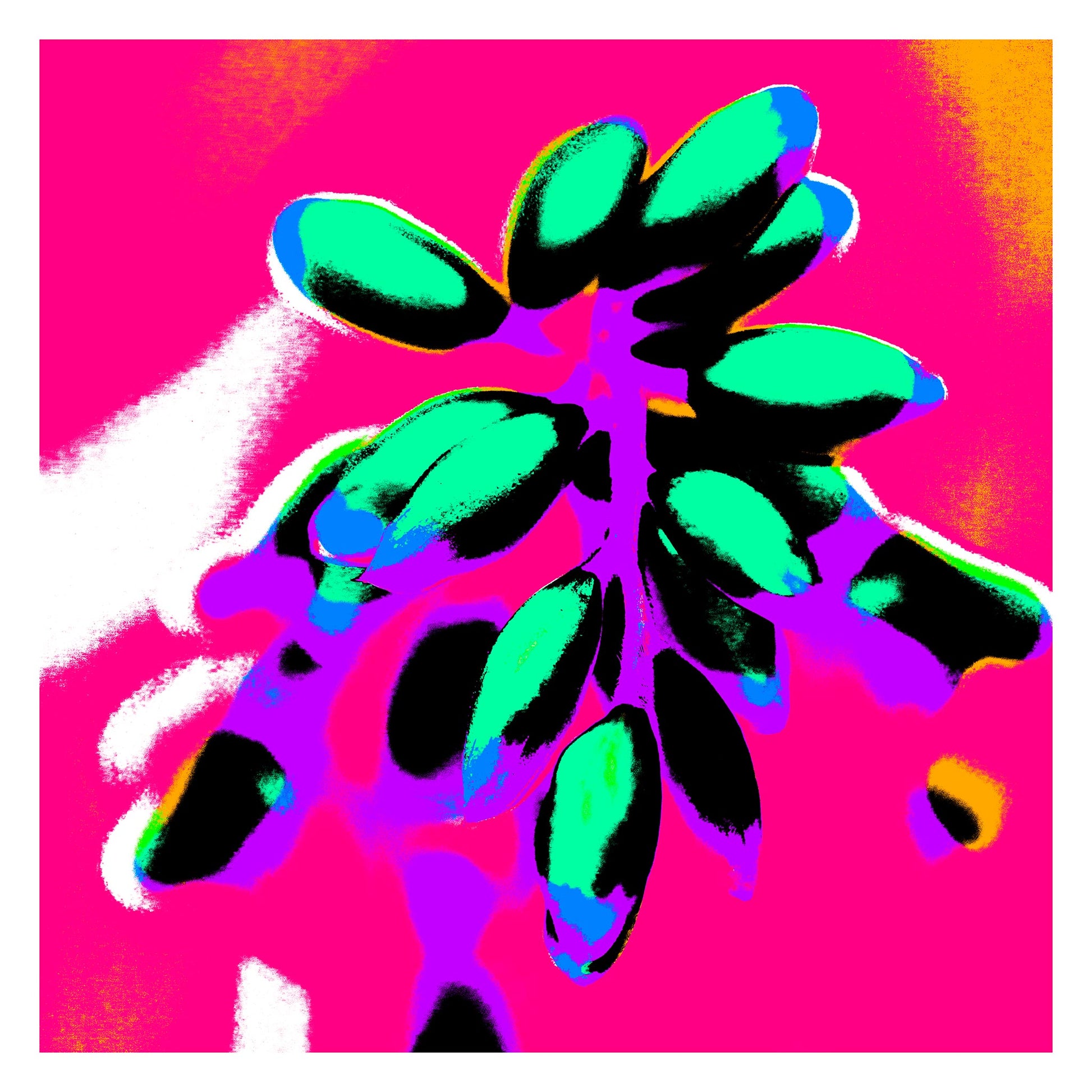 Xtra POP Set - Ginger Flower Buds - 181863v6 - 104x104cm, Teal and aqua buds outlined in black, set against a vivid hot pink and magenta background with purple and orange highlights.