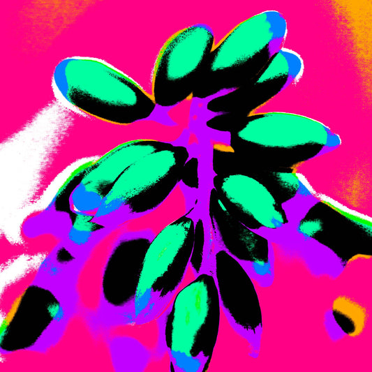 Xtra POP Set - Ginger Flower Buds - 181863v6 - Close Detail View, Teal and aqua buds outlined in black, set against a vivid hot pink and magenta background with purple and orange highlights.