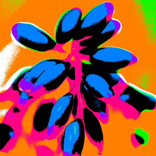 Xtra POP Set - Ginger Flower Buds - 181863v9 - Close Detail View, Vivid electric blue buds on a magenta-red stem over a saturated orange background, accented with lime green and hot pink tones.