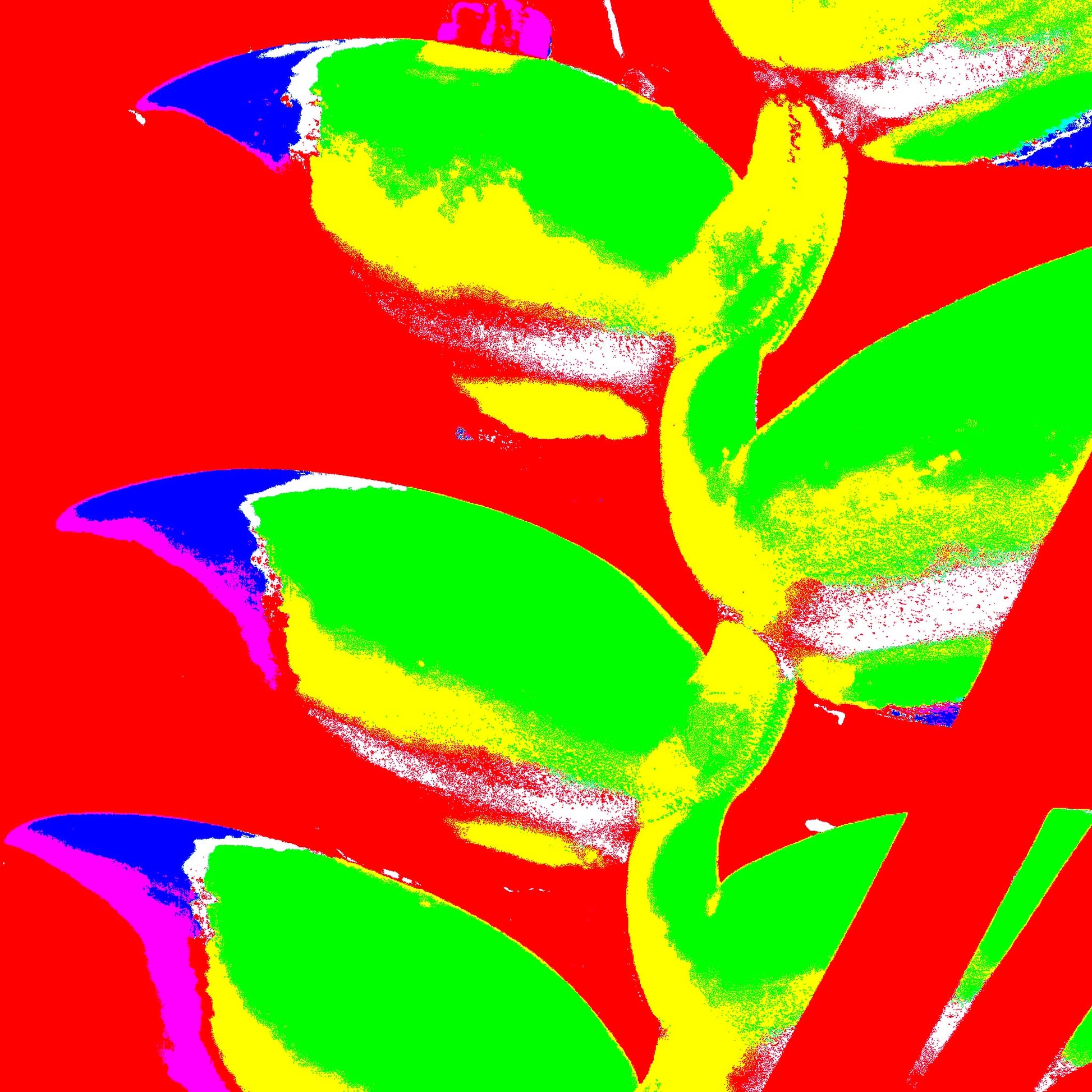 Xtra POP Set - Heliconia - 185791v26a - Close Detail View, Graphic Pop Art rendering of heliconia with neon green leaves on a solid red background, blue and magenta highlights, and bold visual contrasts.