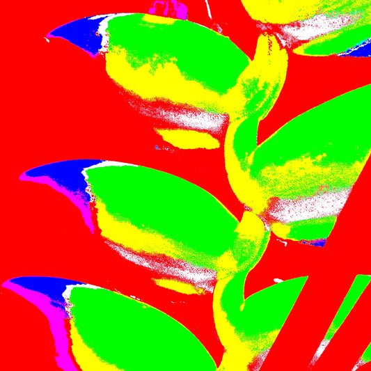 Xtra POP Set - Heliconia - 185791v26a - Close Detail View, Graphic Pop Art rendering of heliconia with neon green leaves on a solid red background, blue and magenta highlights, and bold visual contrasts.