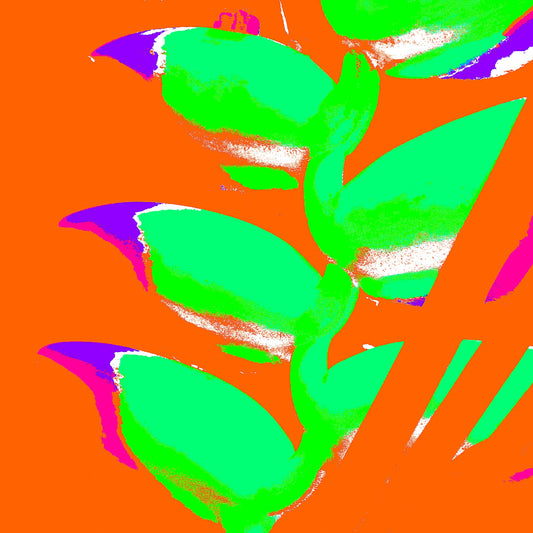 Xtra POP Set - Heliconia - 185791v27a - Close Detail View, Stylised Pop Art image of heliconia in bright neon green on a flat orange background with accents of magenta and violet.