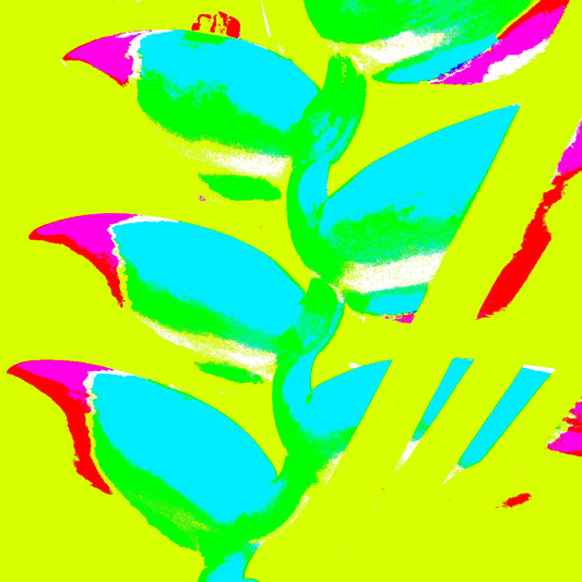 Xtra POP Set - Heliconia - 185791v29a - Close Detail View, Cyan and magenta heliconia shapes on a neon yellow-green background, presented in a vivid Pop Art style.