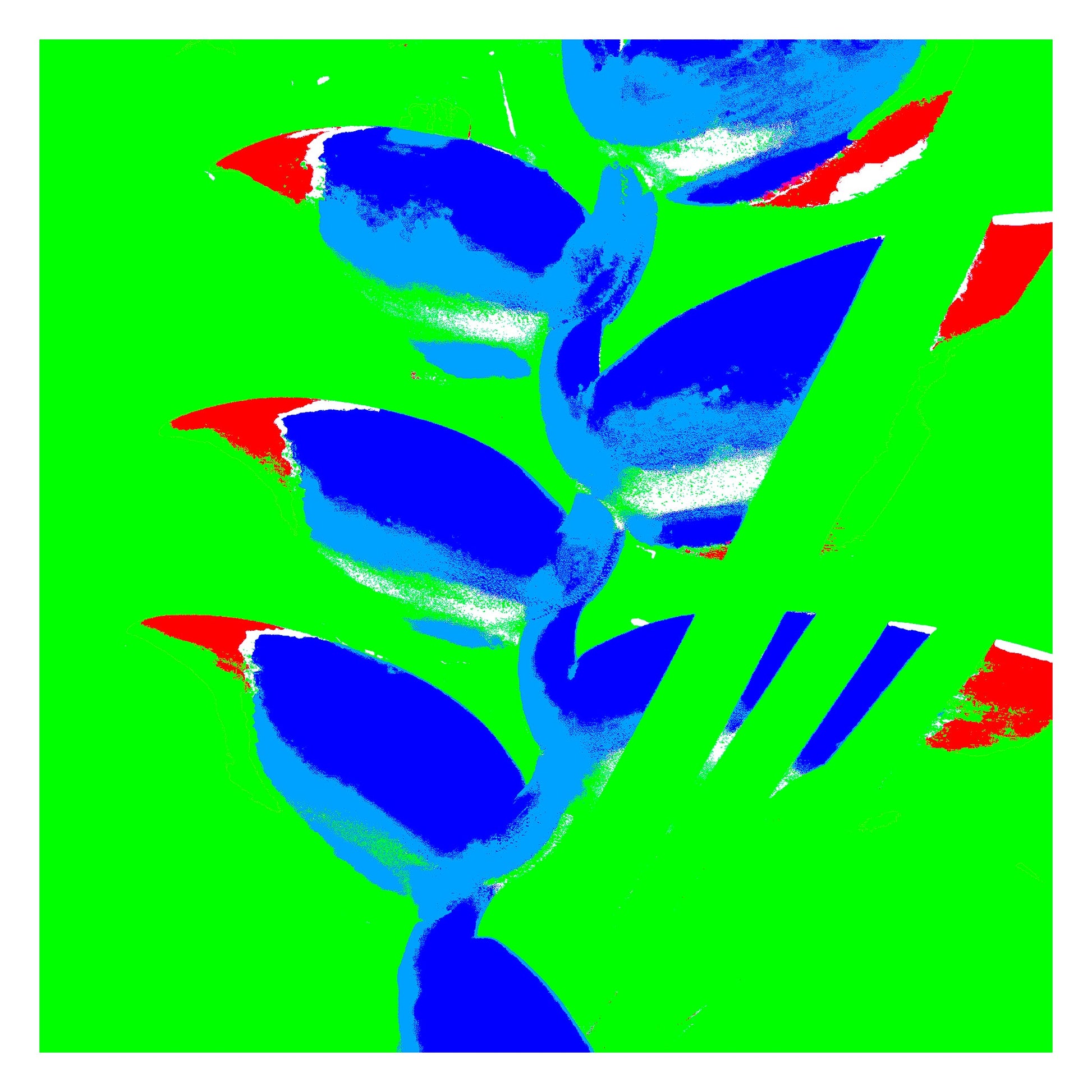 Xtra POP Set - Heliconia - 185791v33a - 104x104cm, Bold blue and red heliconia blooms set against a vibrant green background in a vivid, high-contrast Pop Art style.