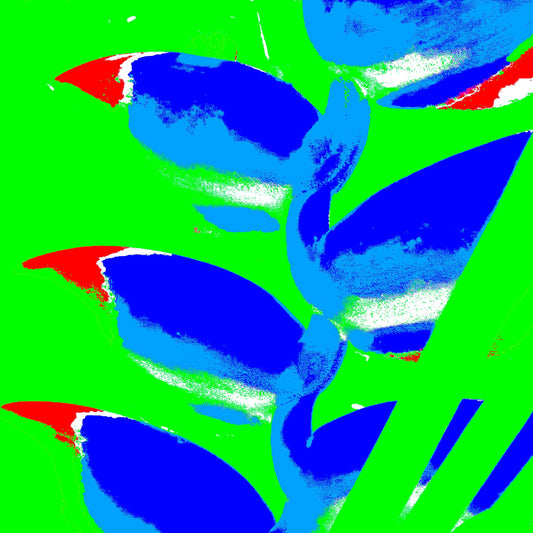 Xtra POP Set - Heliconia - 185791v33a - Close Detail View, Bold blue and red heliconia blooms set against a vibrant green background in a vivid, high-contrast Pop Art style.
