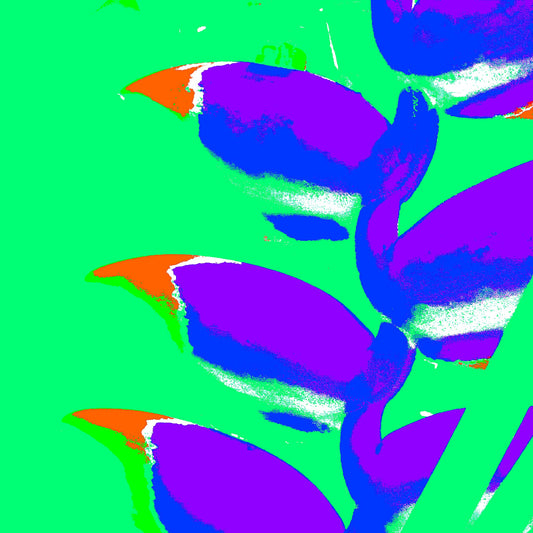 Xtra POP Set - Heliconia - 185791v34a - Close Detail View, Vibrant purple heliconia blooms with accents of orange and blue, set against a vivid green background in a bold Pop Art treatment.