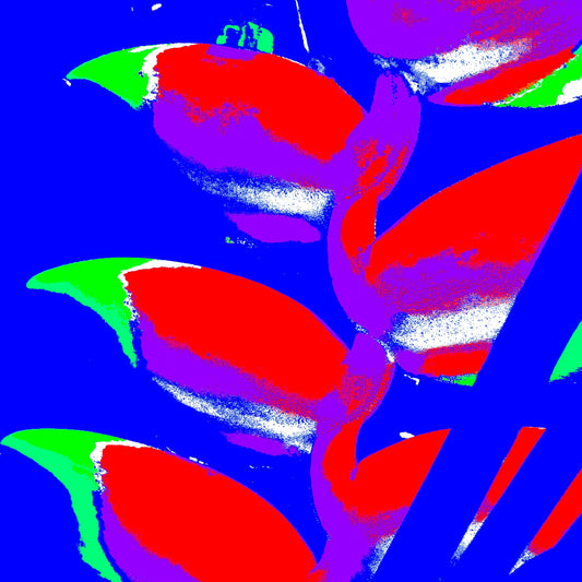 Xtra POP Set - Heliconia - 185791v46a - Close Detail View, Bright red heliconia flowers with green tips against a saturated blue background, rendered in a bold and electrifying Pop Art style.
