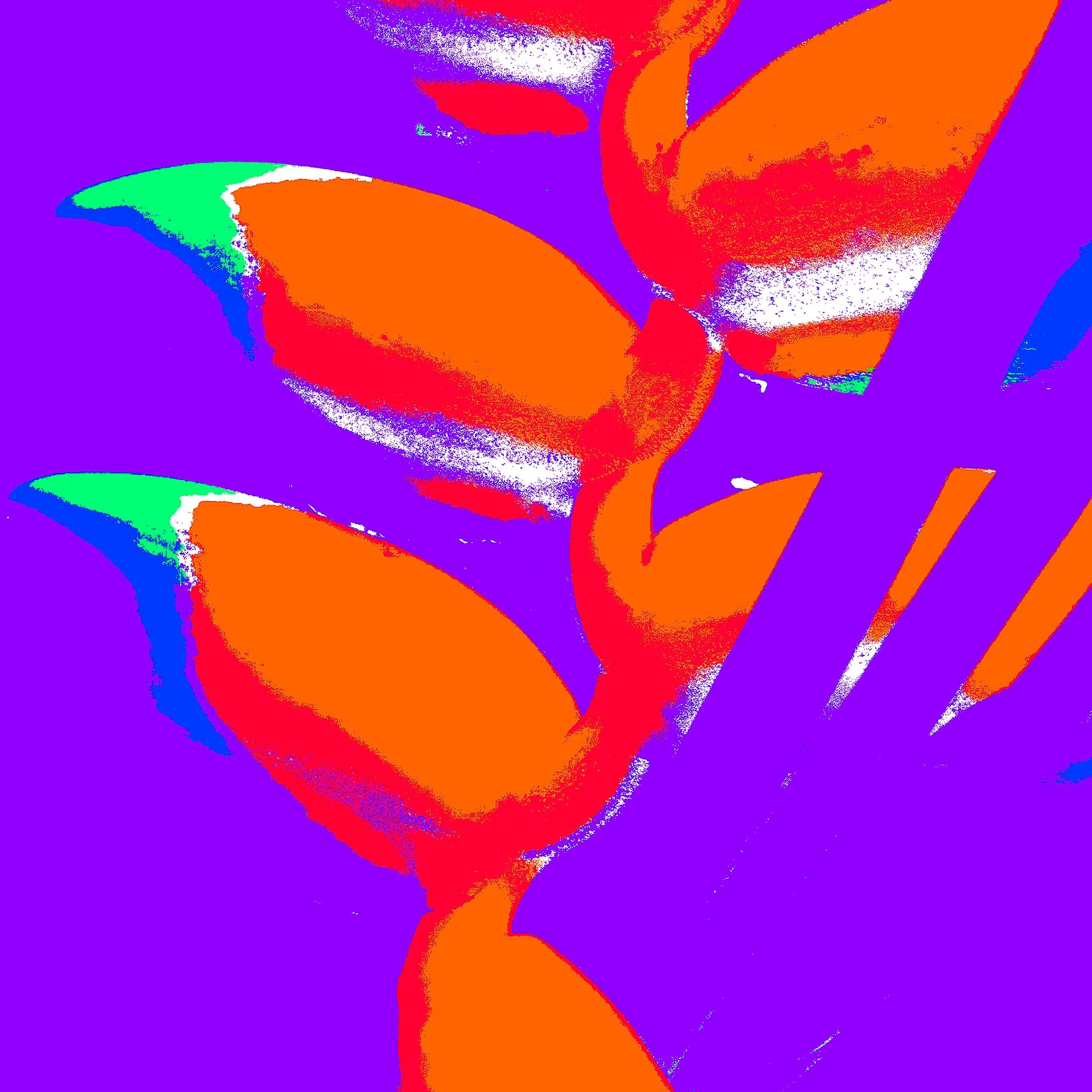 Xtra POP Set - Heliconia - 185791v49a - Close Detail View, Bright orange heliconia flowers with green and blue tips on a vivid purple background, rendered in a psychedelic Pop Art palette.