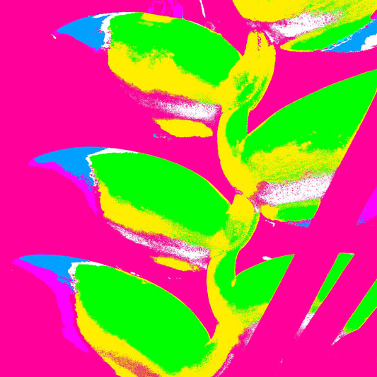 Xtra POP Set - Heliconia - 185791v53a - Close Detail View, Bright lime green heliconia with yellow edges on a vibrant hot pink background, accented by bold blue and violet highlights in a Pop Art aesthetic.