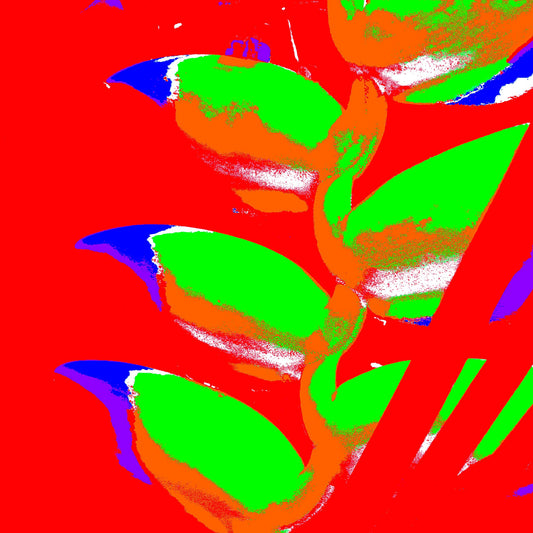 Xtra POP Set - Heliconia - 185791v54a - Close Detail View, Bright green heliconia petals with orange shading against a vivid red background, accented with electric blue tips in a bold Pop Art style.