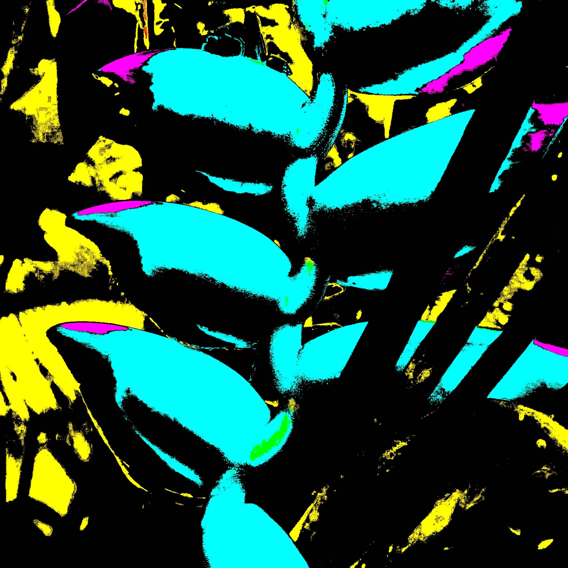 Xtra POP Set - Heliconia - 185791v9a - 90x90cm, Vibrant Pop Art image of heliconia flower in bright turquoise, neon yellow, and magenta with high contrast black detailing and graphic styling.