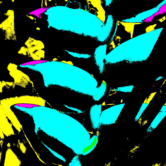 Xtra POP Set - Heliconia - 185791v9a - Close Detail View, Vibrant Pop Art image of heliconia flower in bright turquoise, neon yellow, and magenta with high contrast black detailing and graphic styling.