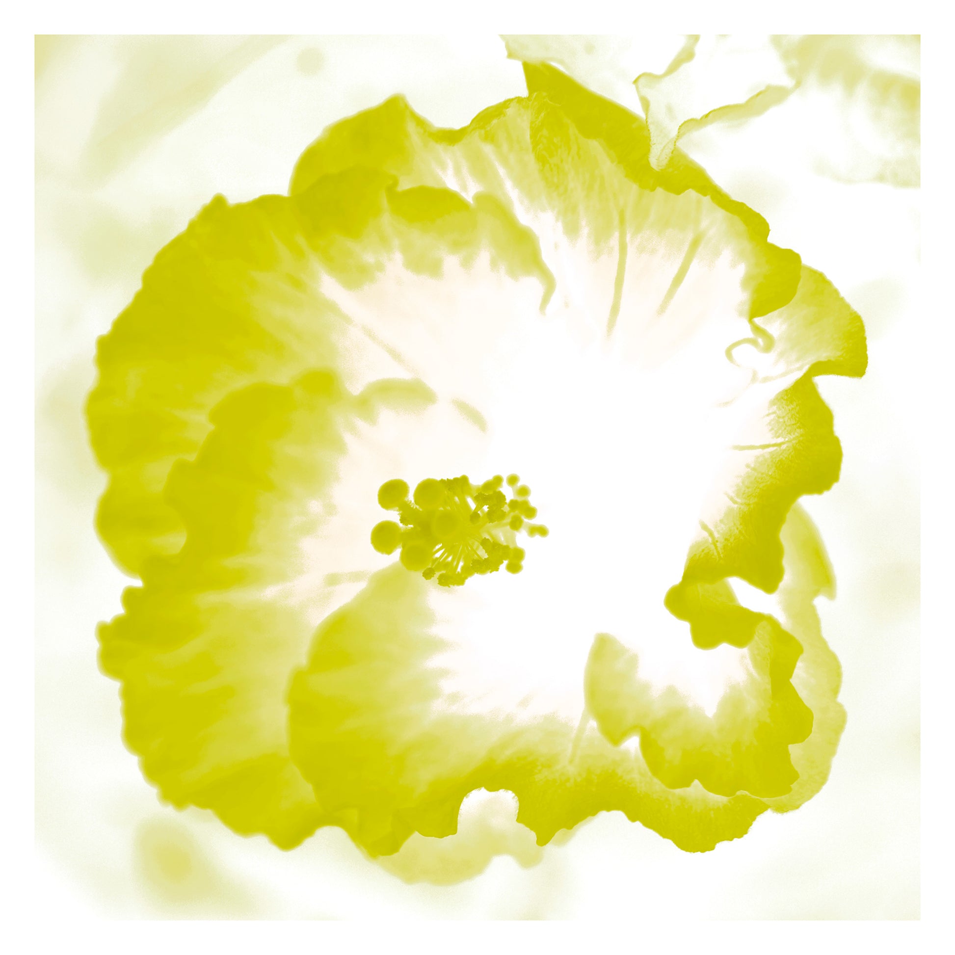 Hibiscus No.1 - 182076v101b - 104x104cm, Bright yellow hibiscus flower artwork with soft glowing centre and vibrant Pop Art styling.