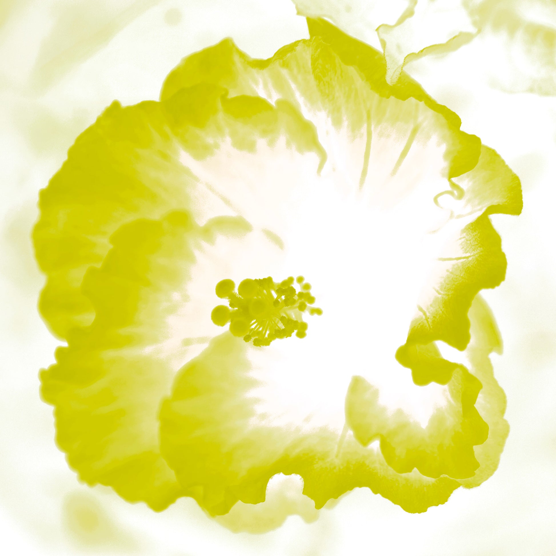 Hibiscus No.1 - 182076v101b - 90x90cm, Bright yellow hibiscus flower artwork with soft glowing centre and vibrant Pop Art styling.