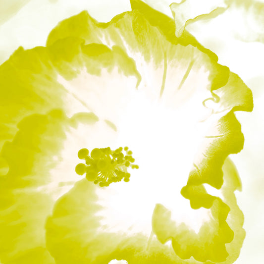 Hibiscus No.1 - 182076v101b - Close Detail View, Bright yellow hibiscus flower artwork with soft glowing centre and vibrant Pop Art styling.