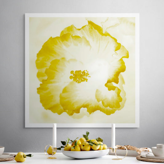 Hibiscus No.1 - 182076v101c - Room View, Glowing yellow hibiscus artwork with luminous soft petals and a serene, sunlit Pop Art aesthetic.