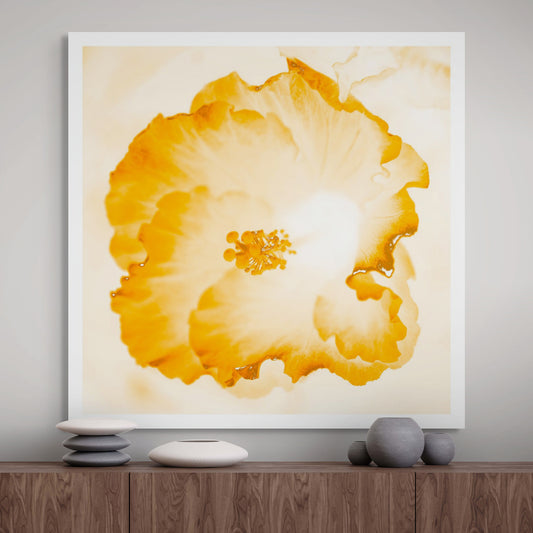 Hibiscus No.1 - 182076v101e - Room View, Soft golden-toned hibiscus flower artwork with translucent whites and amber hues, in a warm and glowing Pop Art aesthetic.