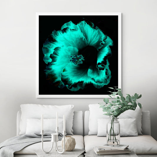 Hibiscus No.3 - 182073v20201-29 - Room View, Teal and aqua-toned stylised hibiscus flower on black background, softly glowing with Pop Art contrast and luminous detail.