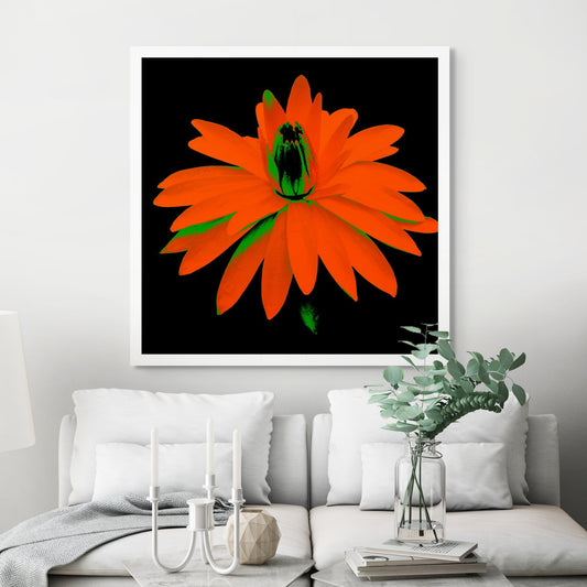 Lily in the Lake - 11002bv4 - Room View, Intense red-orange water lily with green highlights on a black background, digitally stylised in a bold Pop Art aesthetic with glowing contrast and graphic impact.